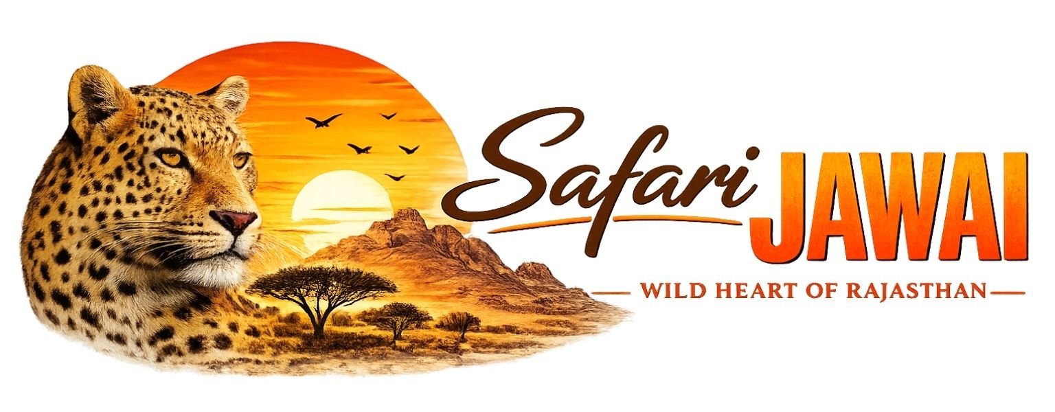 Jawai Safari